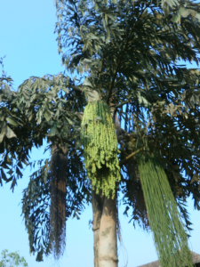 Снимок экрана 2018-01-26 в 12.30.44